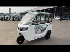 des Passagier-800W elektrisches Rad-elektrisches Dreirad Dreiraderwachsen-des Passagier-3