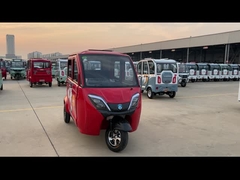 Fahrgast-Elektro-Dreirad Erwachsene Fahrgast-Drei-Rad-Elektro-Dreirad