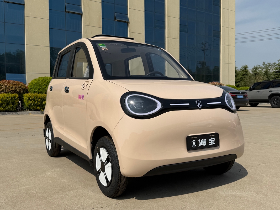 Linglong 3000WD/5000WD New Five-Door Four-Seat Four-Wheeled Electric Vehicle